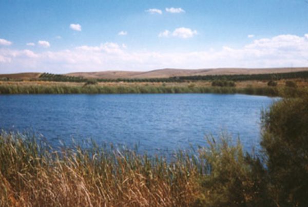 lago biviere