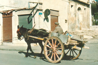 Il carrettiere