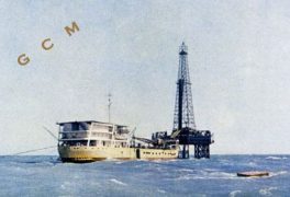 il primo pazzo a mare lo scarabeo